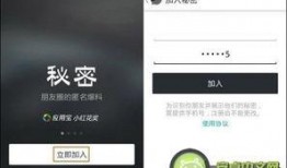 哪里能看到最新的爆料,最新爆料汇总，带你洞察行业动态