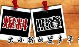 爆料新闻是什么,爆料新闻背后的惊人真相