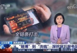 央视爆料网络洗钱案件最新,网络洗钱案件频发，警方重拳出击守护金融安全