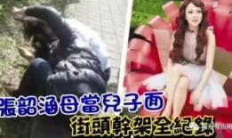 张韶涵舅舅爆料视频,揭秘家族内幕