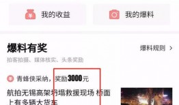 头条爆料视频要审核多久,约需1-2小时