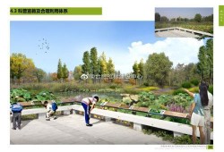 安徽公园爆料最新消息