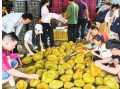 南宁水果爆料事件最新情况,真相大白，市场秩序再获保障