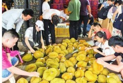 南宁水果爆料事件最新情况,真相大白，市场秩序再获保障