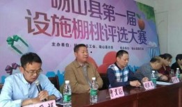 砀山新闻爆料热线,见证城市发展，倾听民声心声