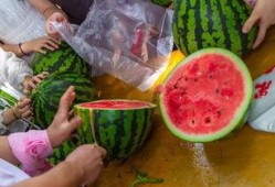 抓鱼吃瓜视频在线观看免费,在线观看视频盛宴