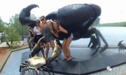 泰国游客爆料视频播放大全,揭秘异国风情与真实生活