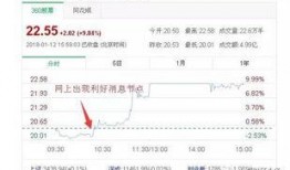 东港股份最新爆料消息,揭秘企业转型新动向与市场布局策略