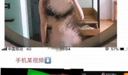 网友爆料布莱特视频,网友爆料内容揭秘