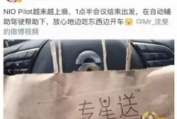 蔚来副总裁爆料视频最新,最新爆料视频深度解析蔚来未来战略布局”