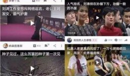 文安吃瓜爆料视频播放,揭秘娱乐圈幕后真相