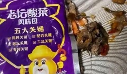 老坛酸菜爆料视频,揭秘食品行业潜规则