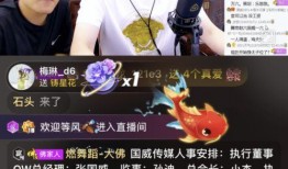 何老板天涯爆料视频播放,独家内幕大公开