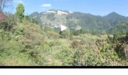 丽水市新闻爆料,突发事件引发社会关注，详情即将揭晓