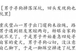 整理新闻爆料的段子手写,新闻爆料背后的趣味真相