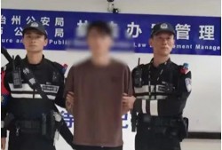 湖北陈女士最近爆料新闻,揭露惊人内幕，引发社会关注