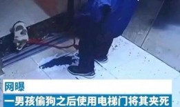 小男孩被爆料怎么办呢视频,小男孩的困境与应对策略