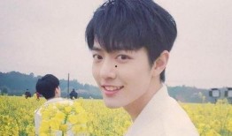 有人爆料杨紫肖战吗视频,揭秘娱乐圈幕后真相