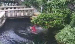 鱼塘爆料大全视频最新,揭秘娱乐圈最新热点事件