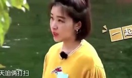 娱乐圈中爆料大叔的明星,大叔明星的幕后故事