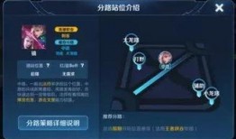 王者爆料姐姐视频,揭秘游戏幕后故事与精彩瞬间