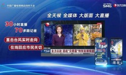 仁化媒体爆料新闻视频,最新爆料新闻视频深度解析
