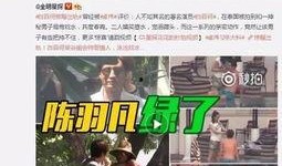 天涯爆料周青扬视频全集,周青扬视频全集揭秘，真相大白！