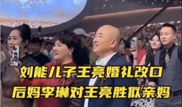 刘能儿子王亮爆料视频是真的吗