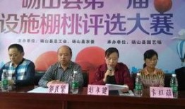 砀山新闻爆料热线,见证城市发展，倾听民声心声