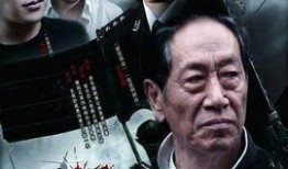 电视剧暗警在线观看,揭秘潜伏于黑暗中的正义之光