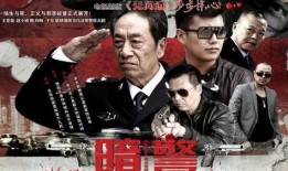 电视剧暗警在线观看,揭秘潜伏于黑暗中的正义之光