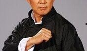 在线观看元彪,在线重温武侠传奇