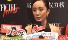 娱乐圈吃瓜视频大全,吃瓜视频大全，带你领略明星幕后故事